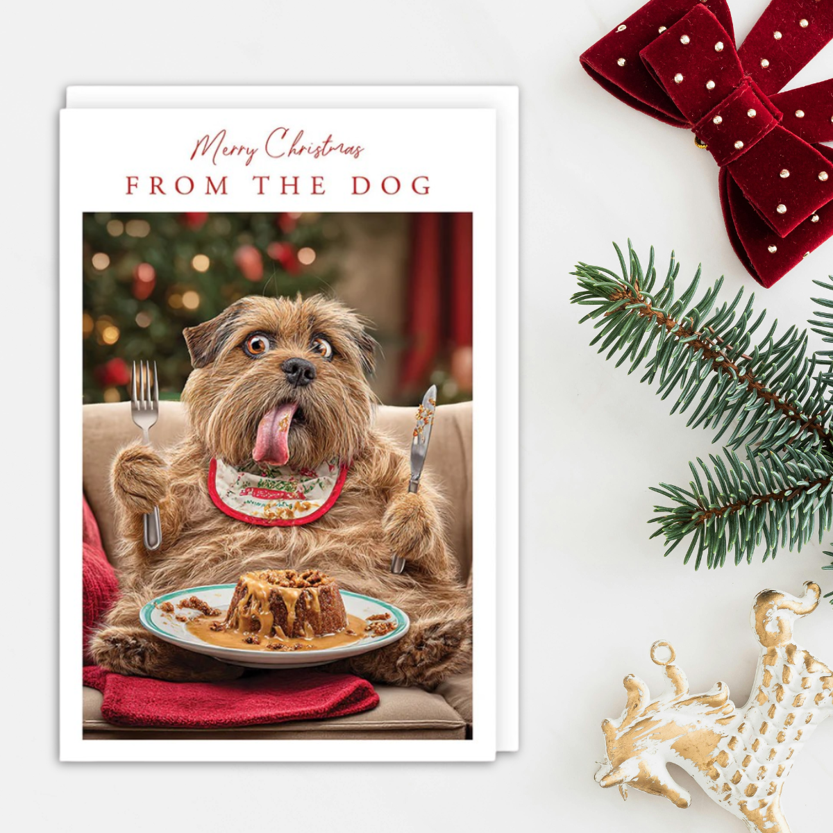 From The Dog Christmas Card - Tracks Photographic Dog