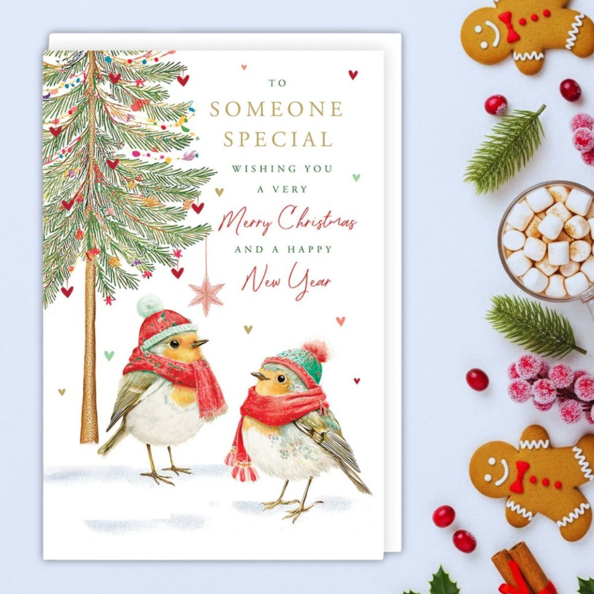 Someone Special Christmas Card - Illustrated Robins