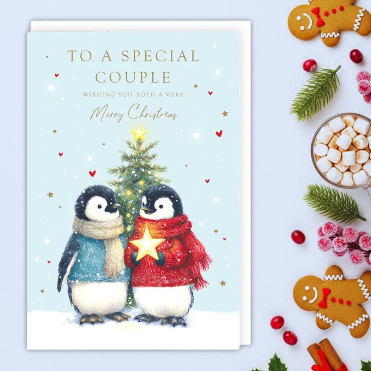Special Couple Christmas Card - Cute Penguins