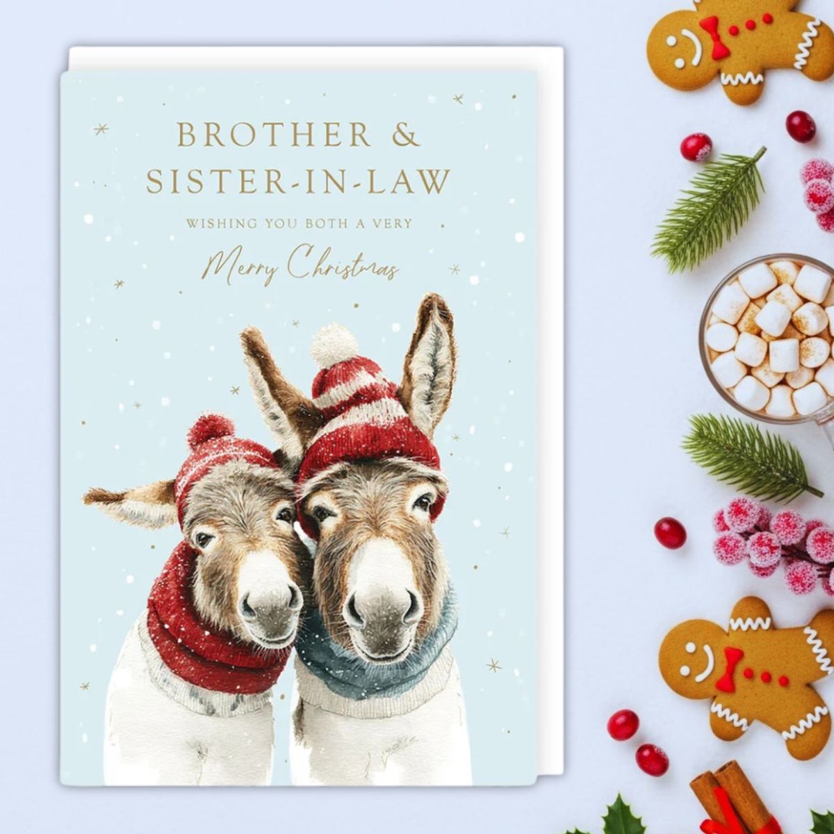 Brother & Sister-In-Law Christmas Card - Two Donkeys