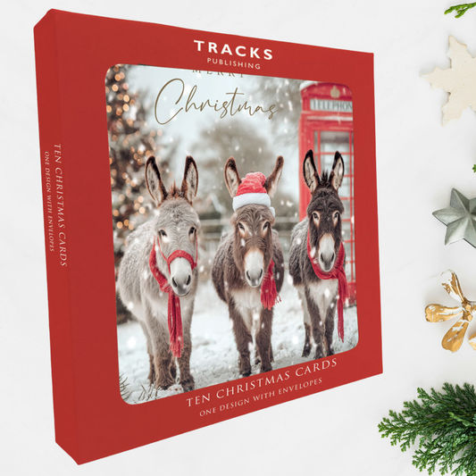 10 x Christmas Cards In Box - Donkeys