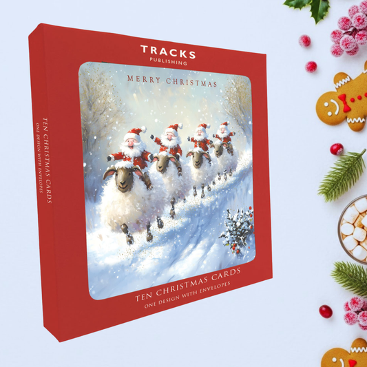 10 x Christmas Cards In Box - Santa's & Sheep