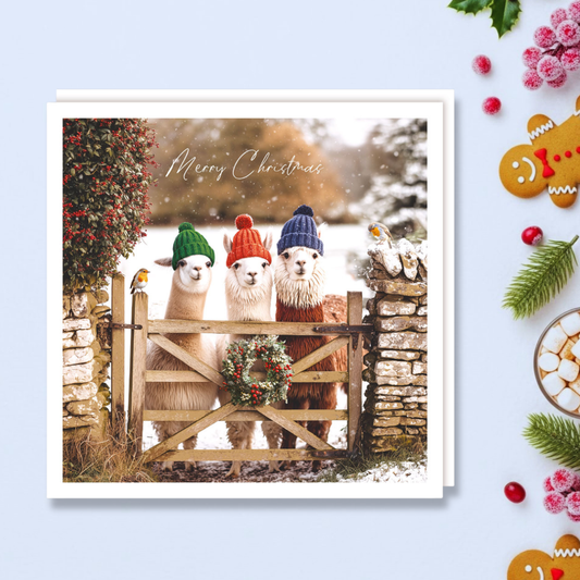 Charity Christmas Cards - 5 x Snowy Alpacas