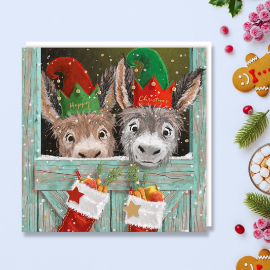 Charity Christmas Cards - 5 x Donkeys & Stockings