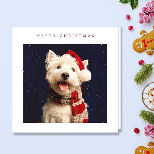 Charity Christmas Cards - 5 x Christmas Dog & Scarf