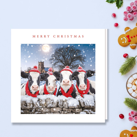 Charity Christmas Cards - 5 x Snowy Cows In Hats