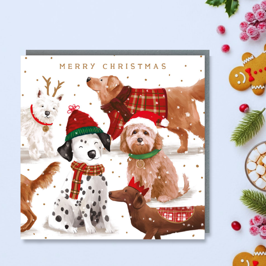 Charity Christmas Cards - 5 x Christmas Dogs