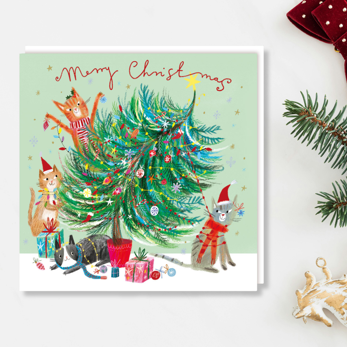 Charity Christmas Cards - 5 x Christmas Cats