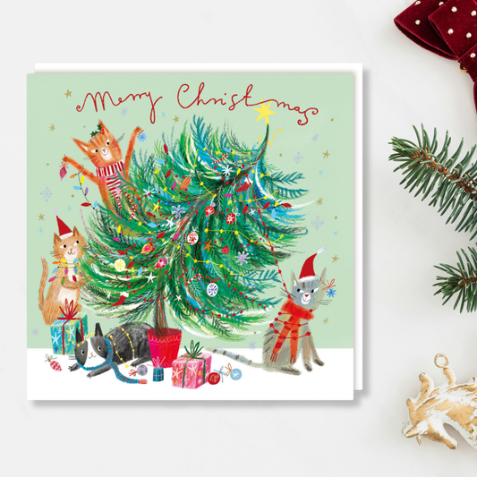 Charity Christmas Cards - 5 x Christmas Cats