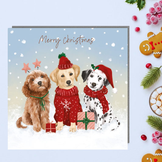 Charity Christmas Cards - 5 x Snowy Dog Trio