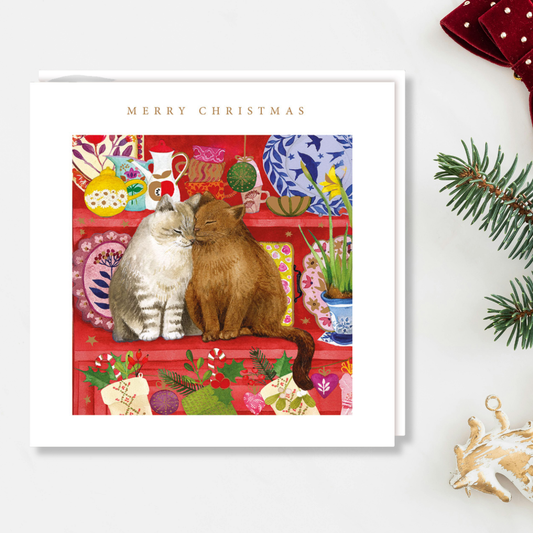 Charity Christmas Cards - 5 x Cat Cuddle