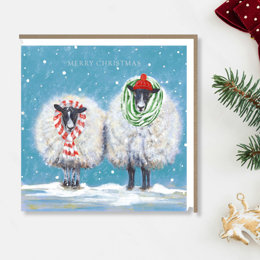 Charity Christmas Cards - 5 x Two Woolly Sheep