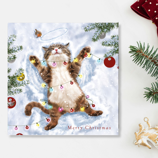 Charity Christmas Cards - 5 x Kitten & Christmas Lights