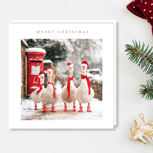 Charity Christmas Cards - 5 x Geese & Postbox