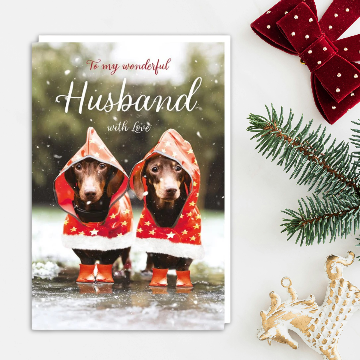 Husband Christmas Card - Sausage Dogs In Coats
