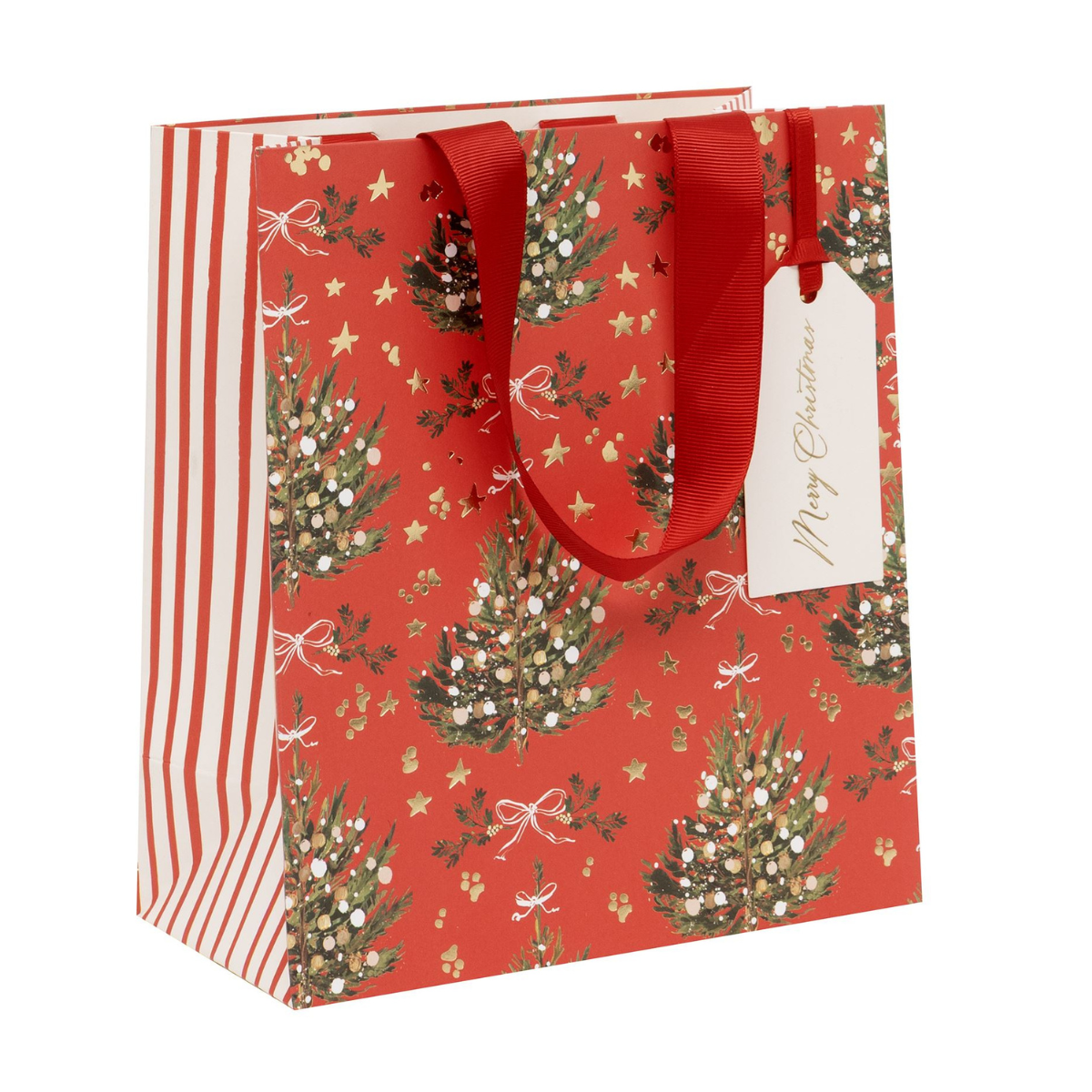 Christmas Gift Bag Medium - Red Fir Radiance