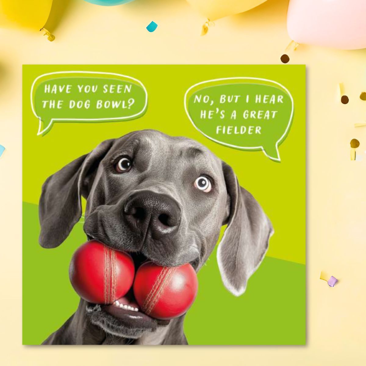 Epic Birthday Card - A Great Fielder