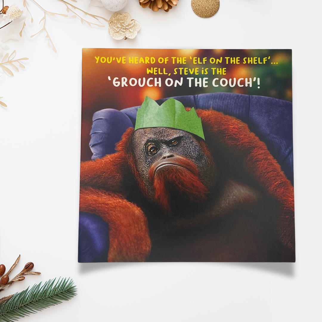 Funny Christmas Card - Virtual Safari Grouch On The Couch