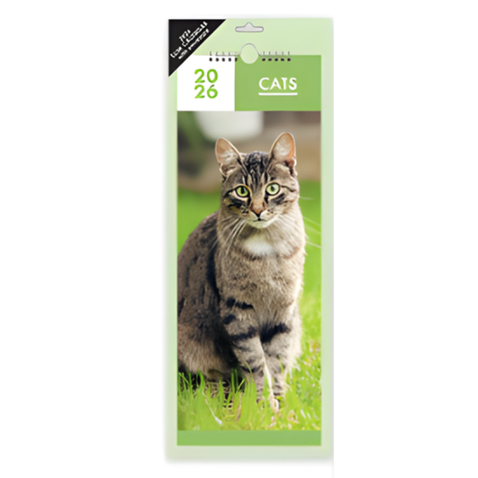 2026 Calendar - Slim Cats Photographic