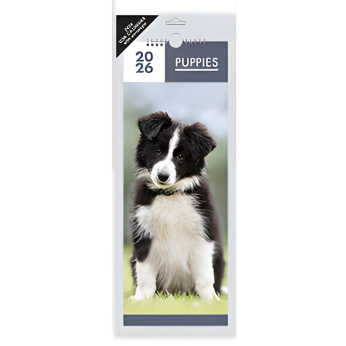 2026 Calendar - Slim Puppies Photographic