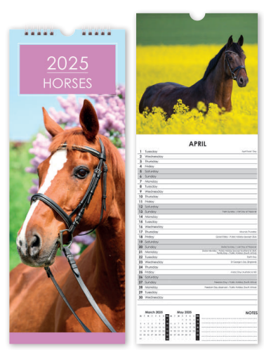 Horses - Slim Calendar 2025 With Envelope