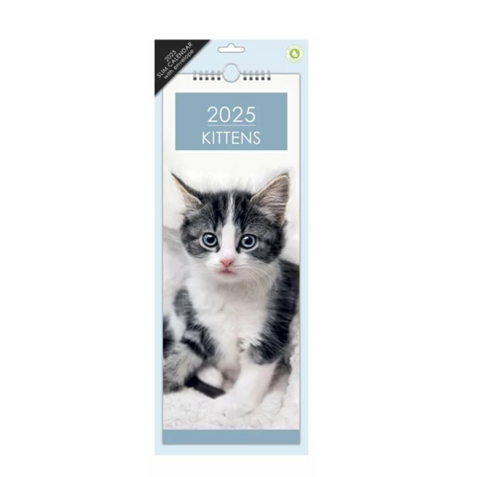 Kittens - Slim Calendar 2025 With Envelope