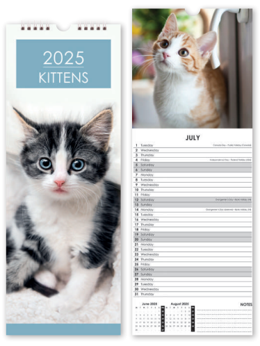 Kittens - Slim Calendar 2025 With Envelope