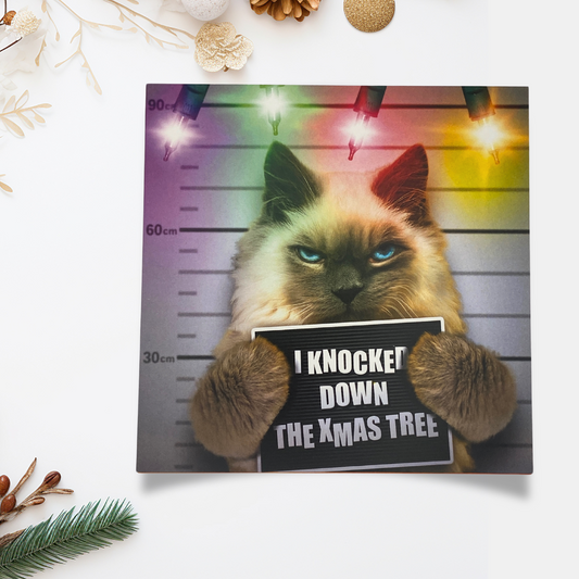 Funny Christmas Card - Virtual Safari Cat Mugshot