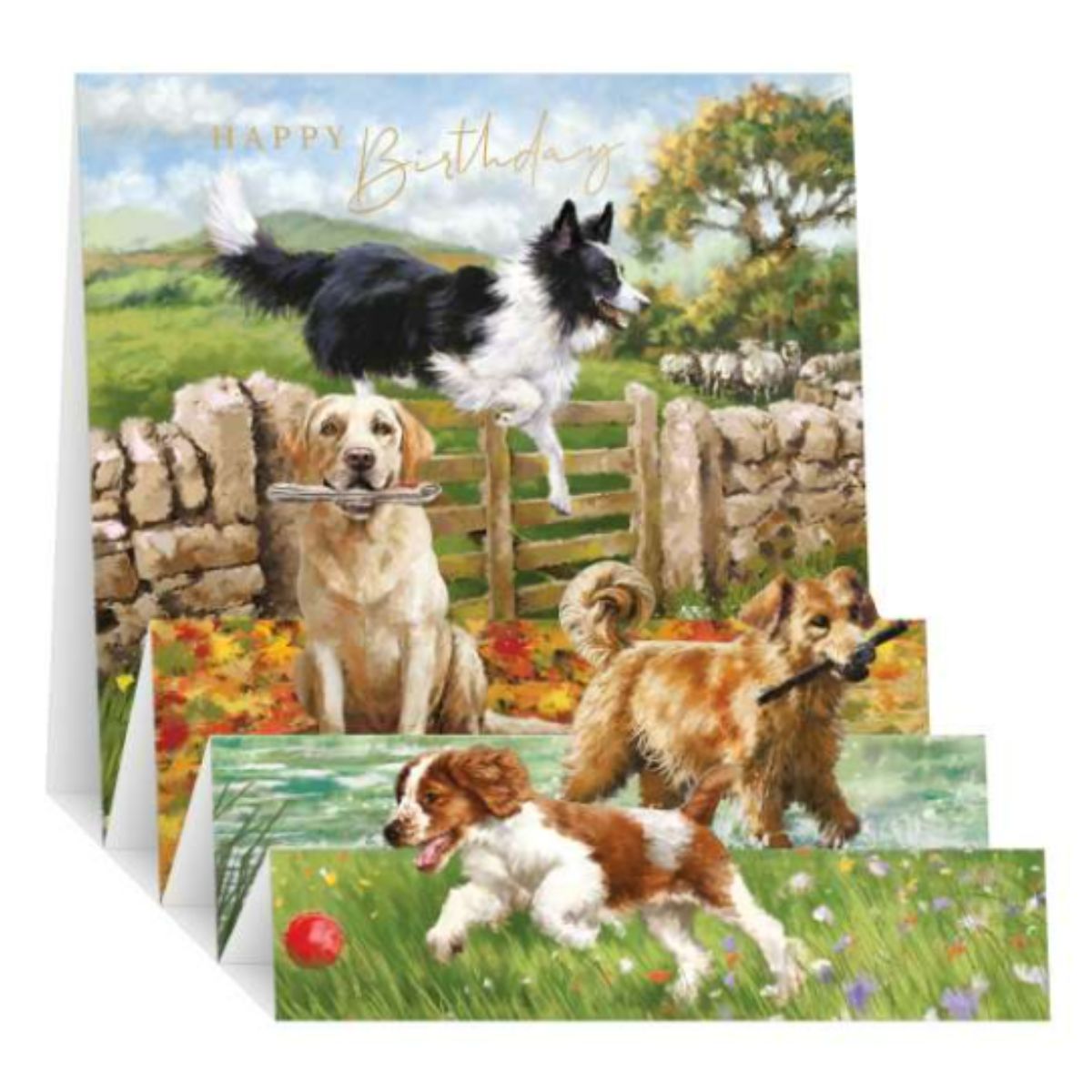 Zig Zag Pop Up Birthday Card - Dogs Playing