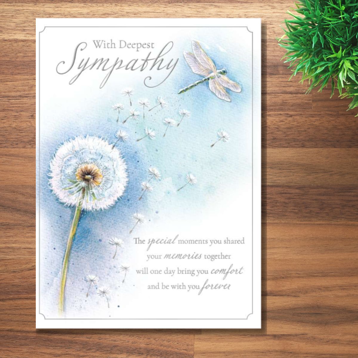 Sympathy Card - Dandelion & Dragonfly