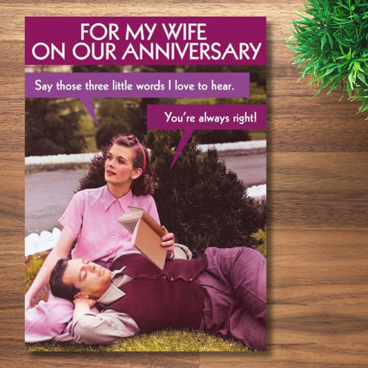 Wife Anniversary Card - Quitting Hollywood