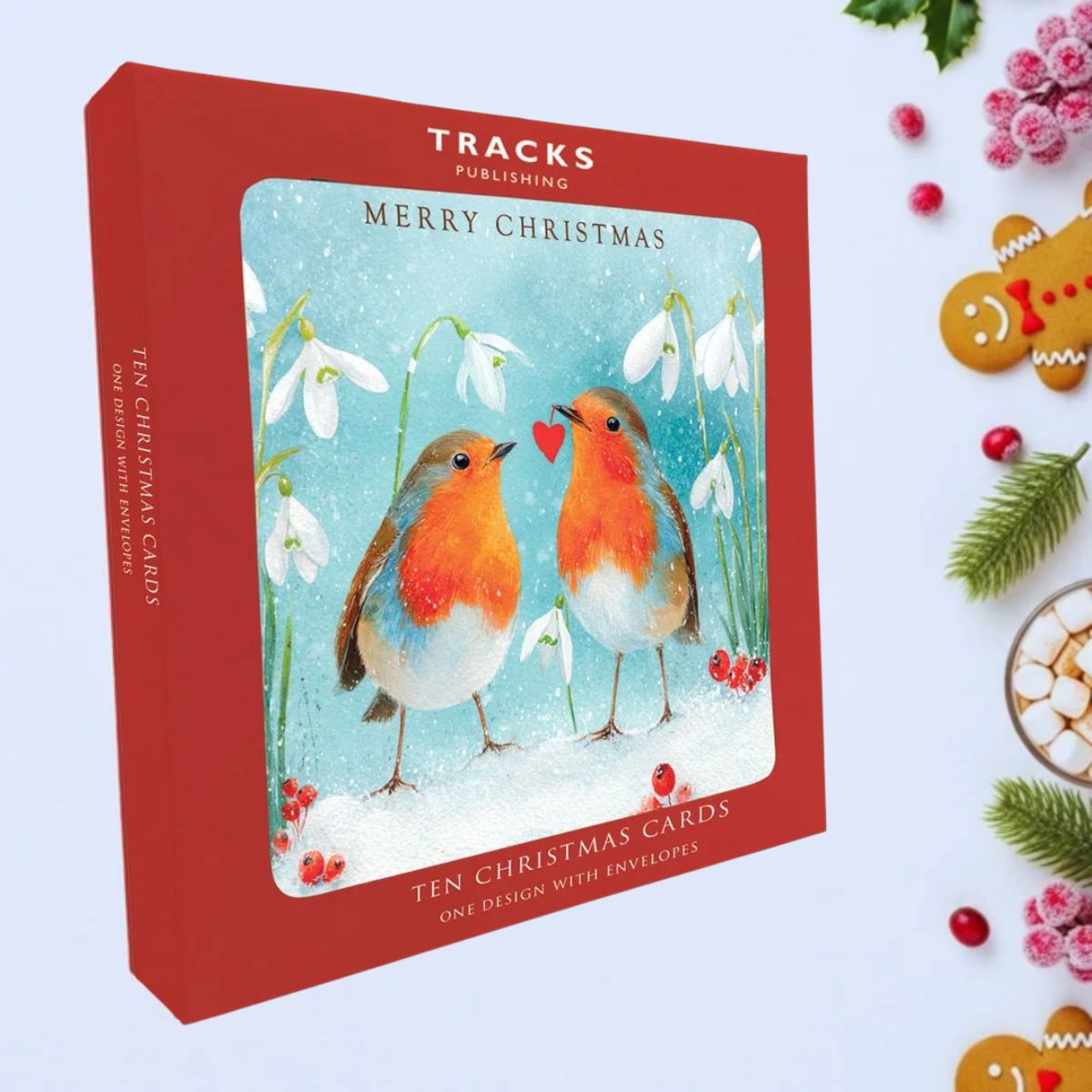 10 x Christmas Cards In Box - Robins & Snowdrops