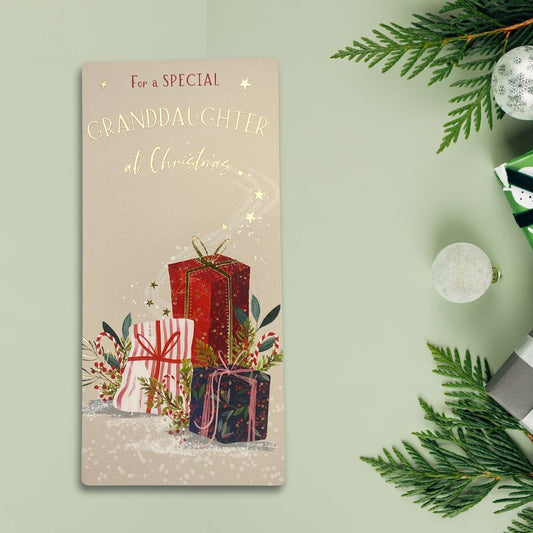 Money Wallet Christmas - Granddaughter Skylight