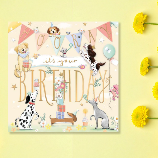 Twinklewood Birthday Card - Hooray Dogs