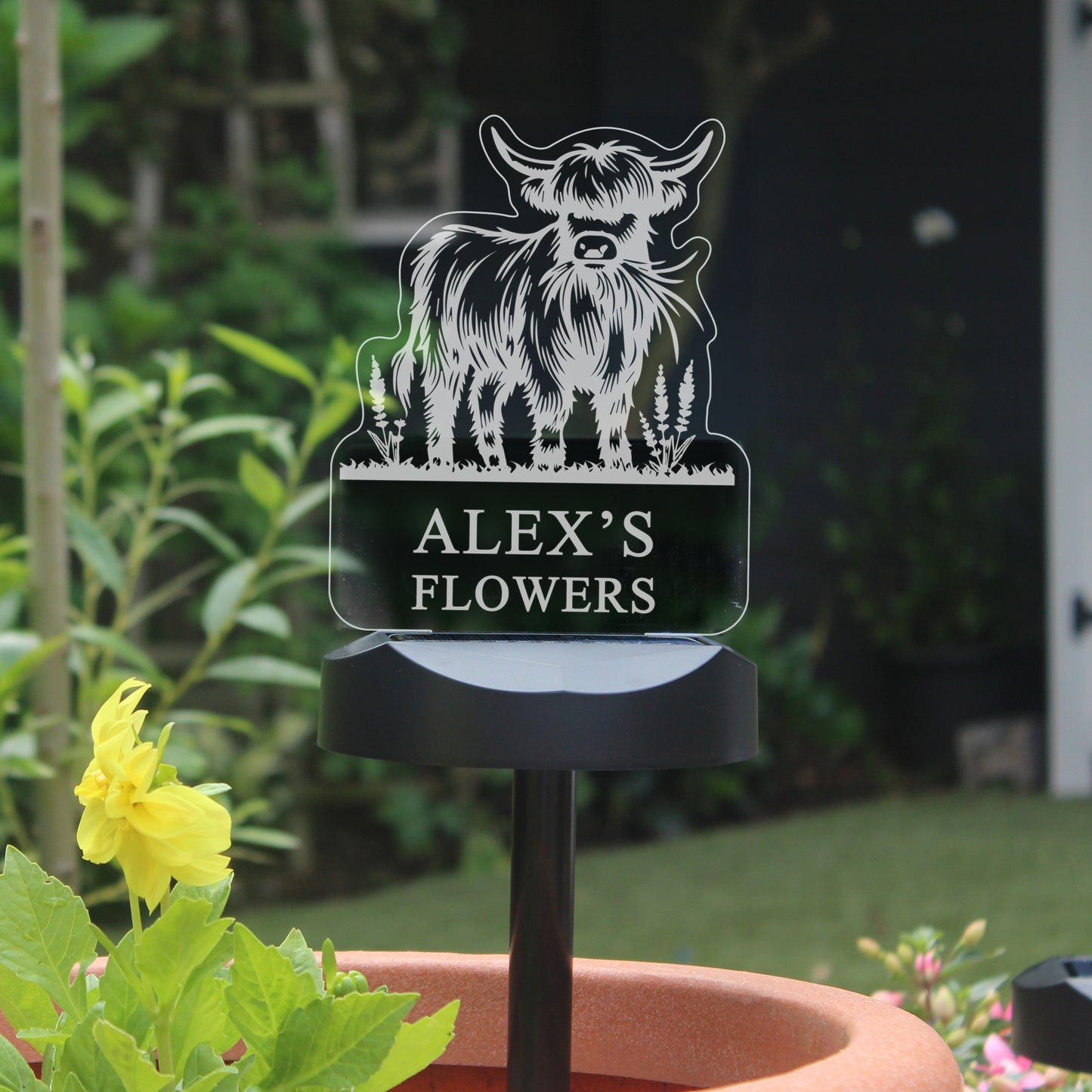 Personalised Gift - Highland Cow Garden Solar Light
