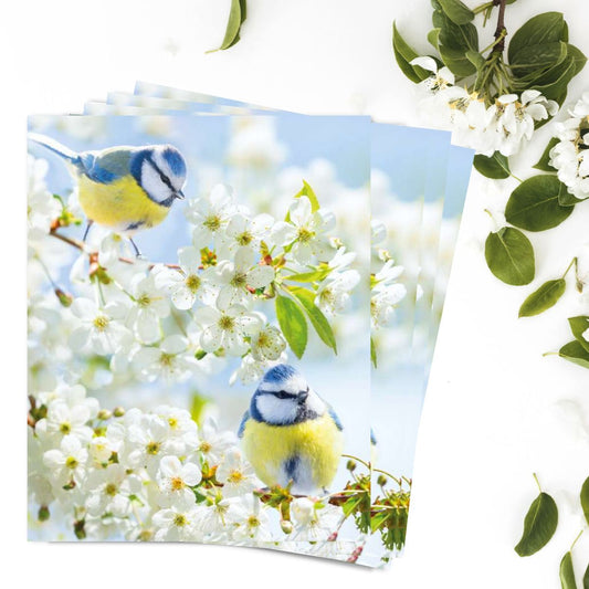 Notelets Blank - Blue Tits - Pack of 4