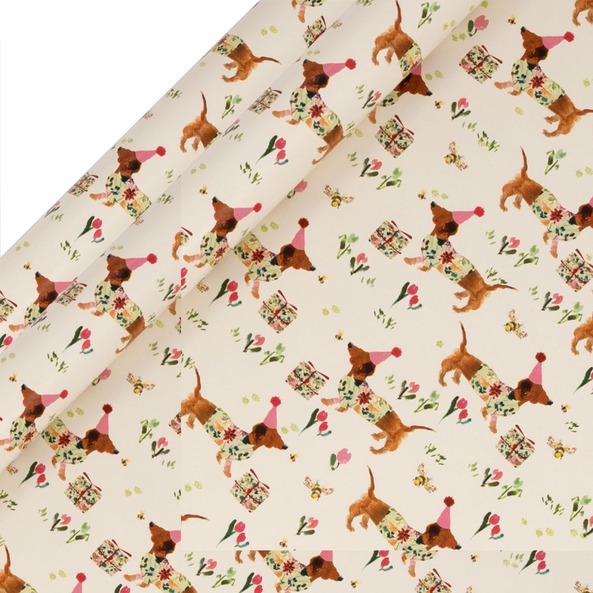 Rollwrap Collection - Sausage Dog Party Duo