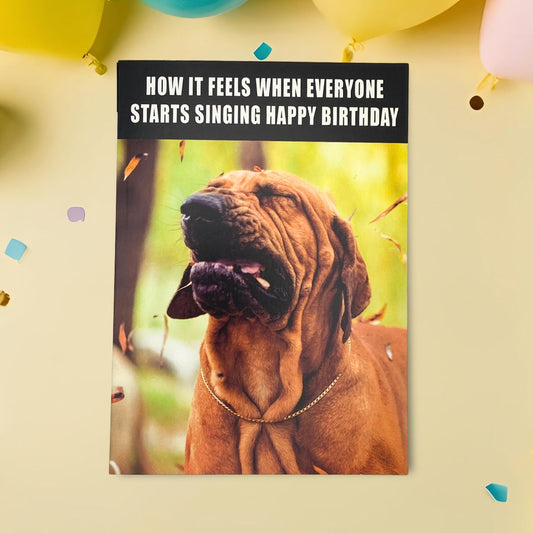 Memes Funny Birthday Card - Singing Dog