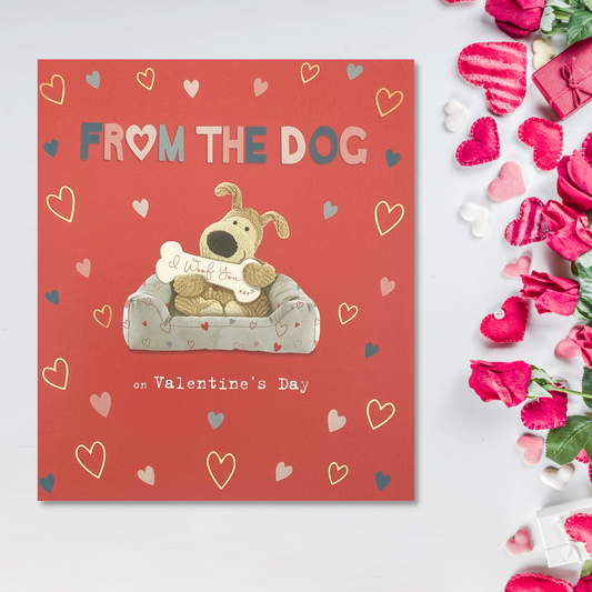 Valentine's Day From The Dog - Boofle Bear