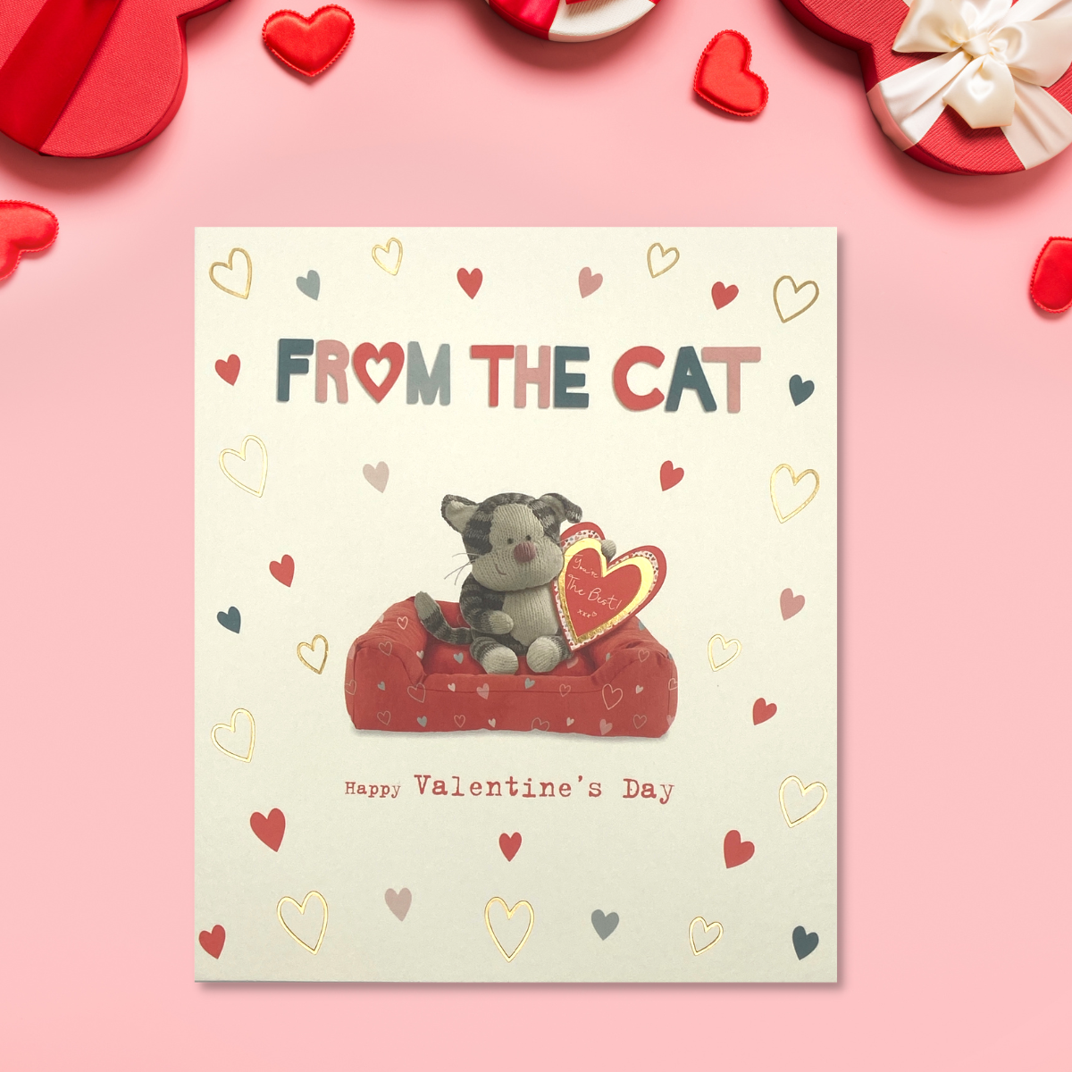 Valentine's Day From The Cat - Boofle Bear