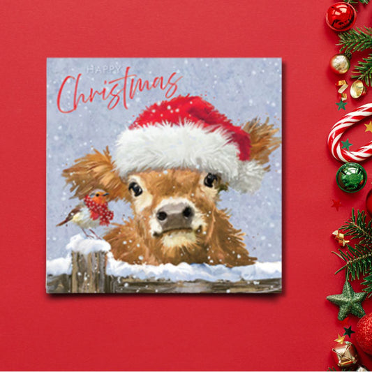 Charity Christmas Cards - 6 x Festive Cow & Red Robin