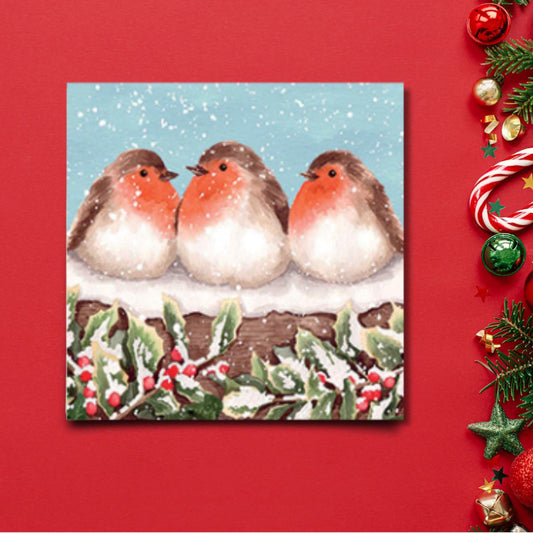 Charity Christmas Cards - 6 x Robin Red Breasts