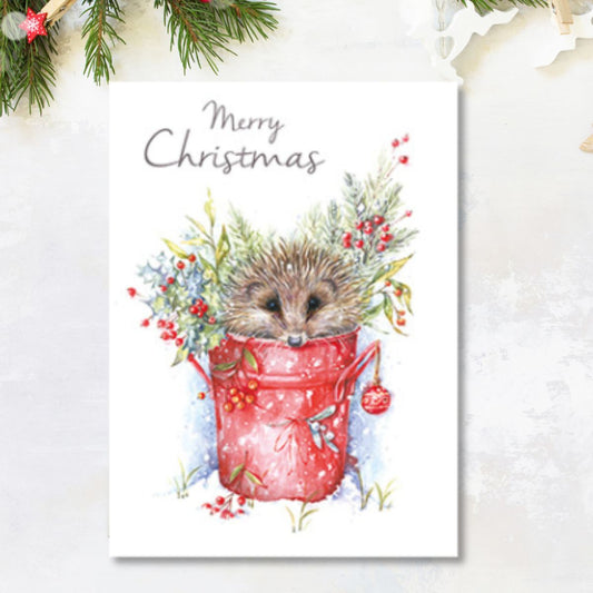 Christmas Charity Cards - 8 x Hedgehog & Holly