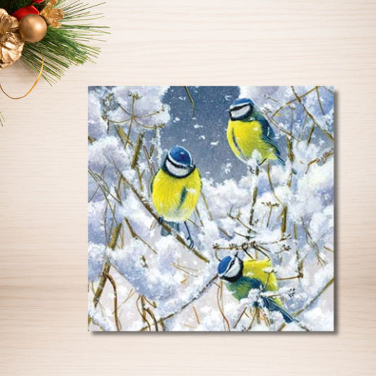 Charity Christmas Cards - 8 x Snowy Blue Tits