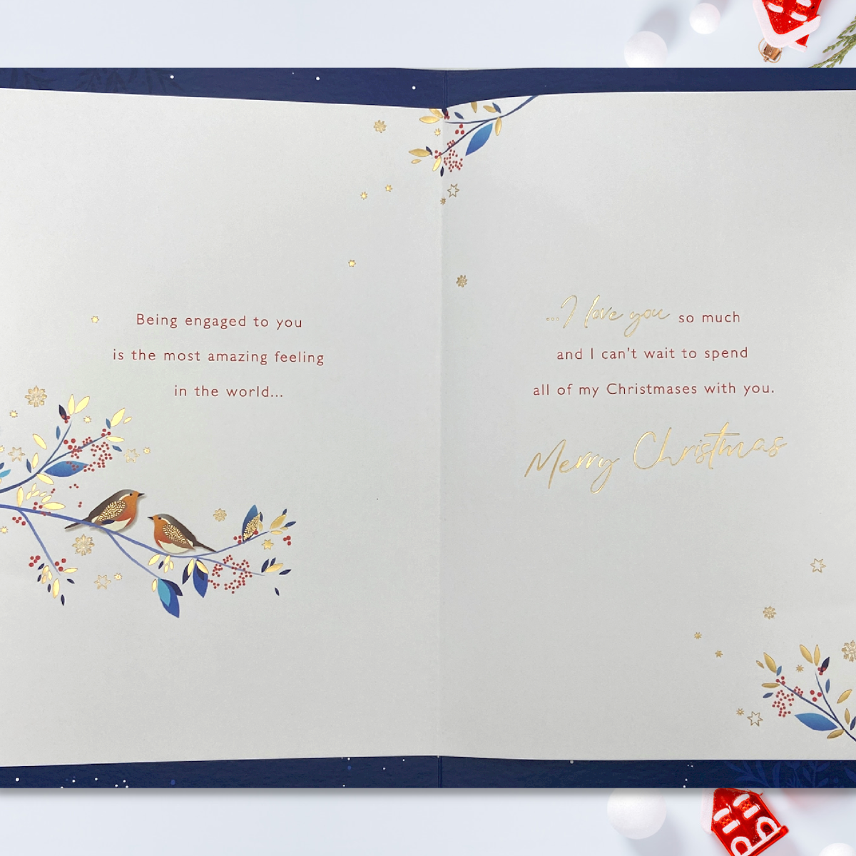 Inside image with blue border, full colour print and verse with robins and gold foil