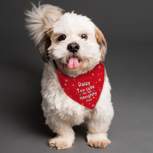 Personalised Gift - Dog Bandana Too Cute For The Naughty List