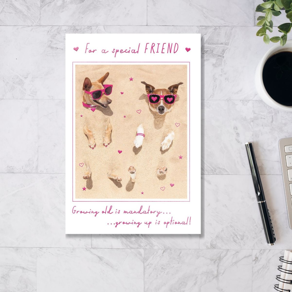 Friend Birthday Card - Growing Up Is Optional!