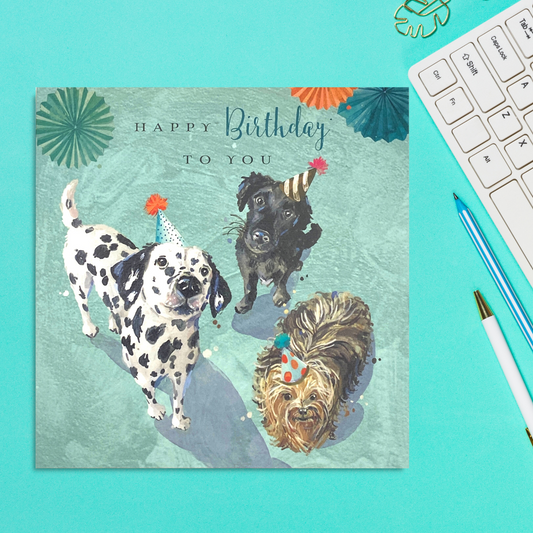 Square card with three dogs in party hats