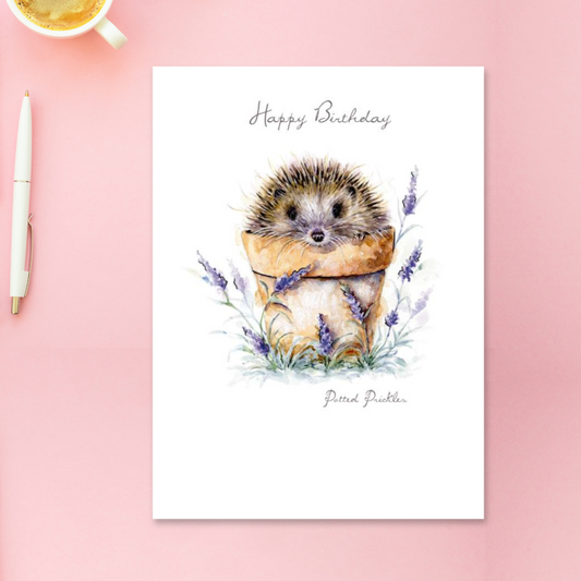 Pawfolio Birthday Card - Potted Hedgehog