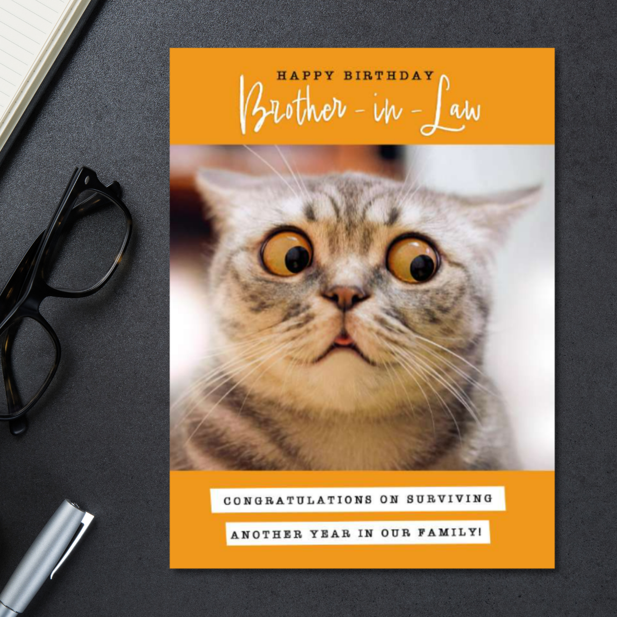 Brother-In-Law Birthday Card - Cat Humour